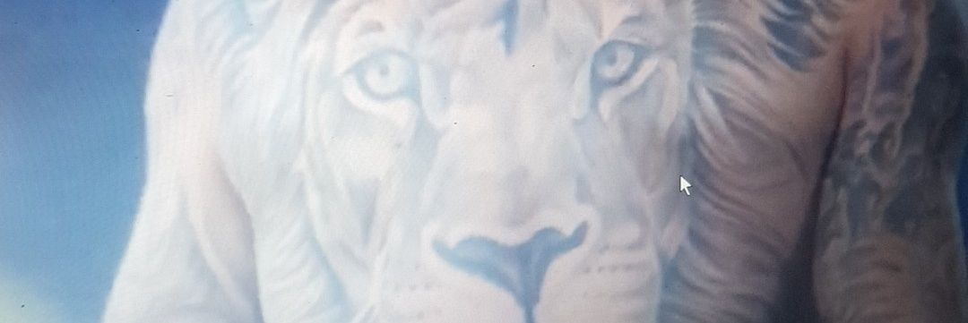 HLaurian's profile banner image