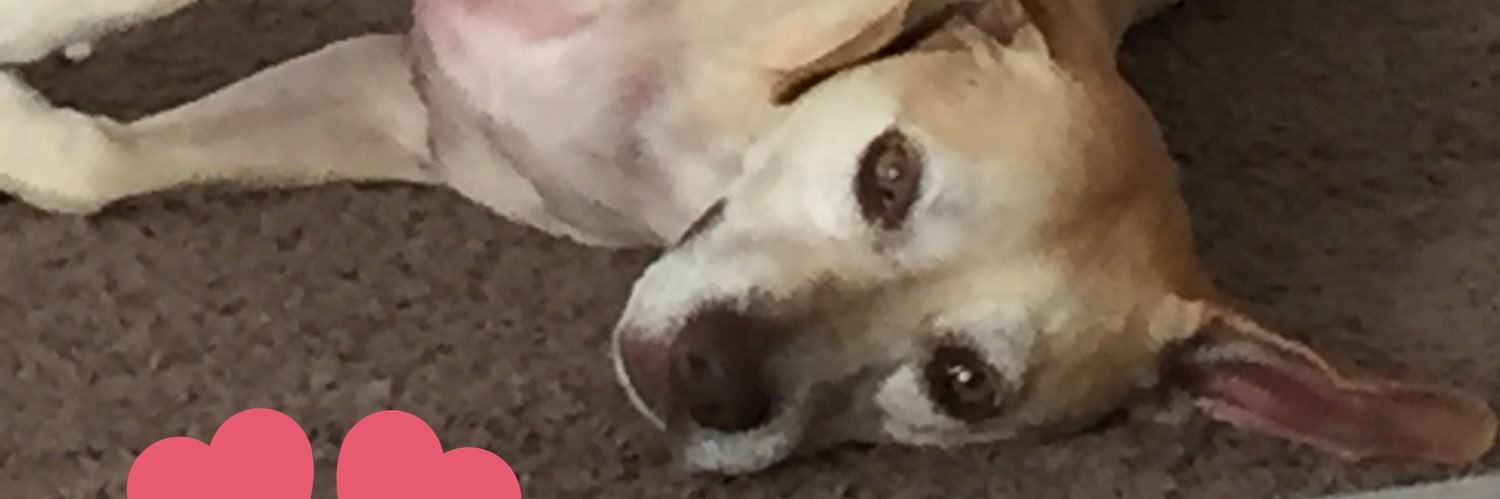 TheArtistFKA's profile banner image
