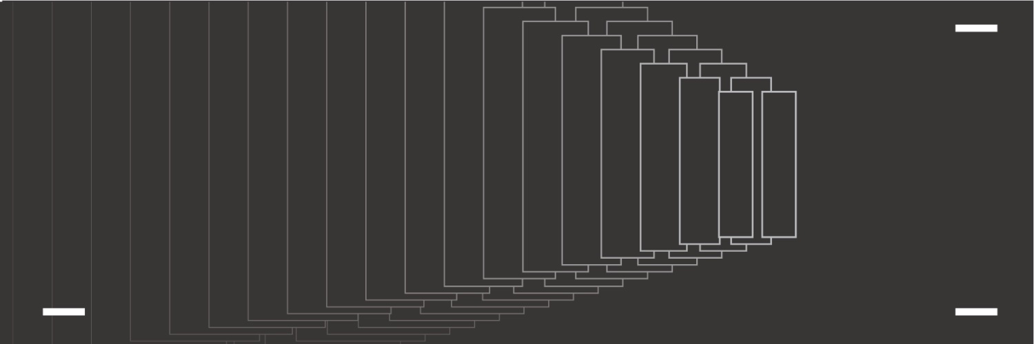 PersianFilmFest's profile banner image