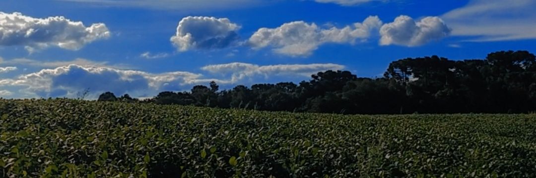 leocamargom's profile banner image