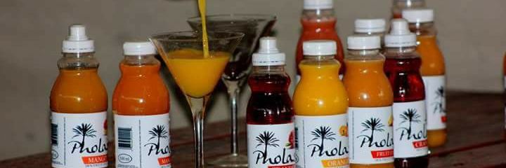 PholasJuices's profile banner image