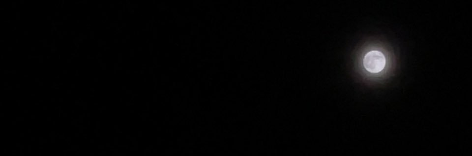 cat_a_game's profile banner image