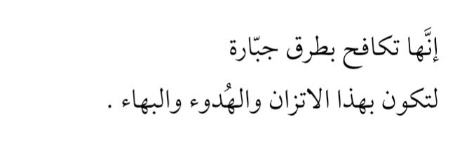 She__rouq's profile banner image