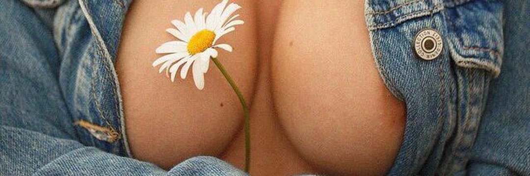 12allie__'s profile banner image