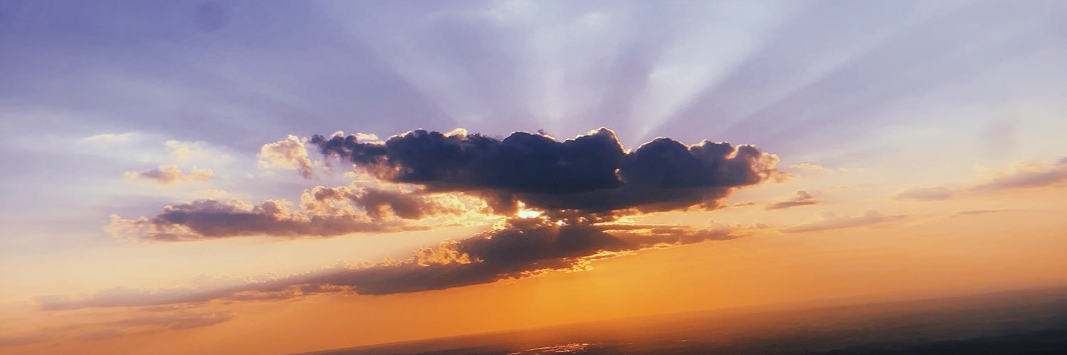 blonde_taylor's profile banner image