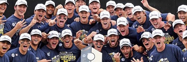 Michael Hendrickson banner