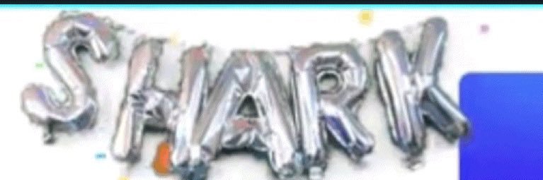 sharkbeebs's profile banner image