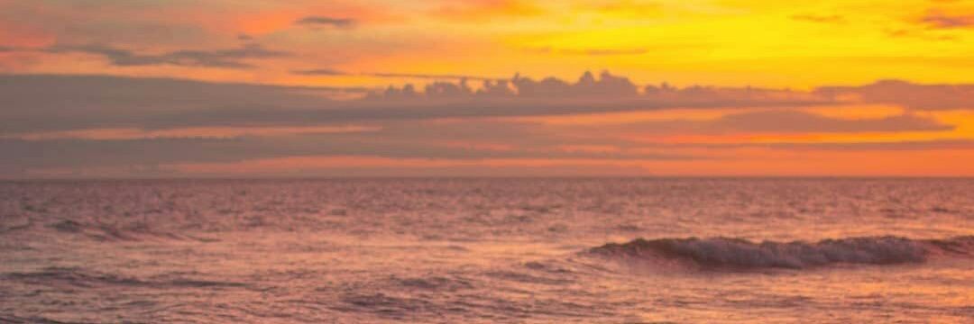 NachoValdz's profile banner image