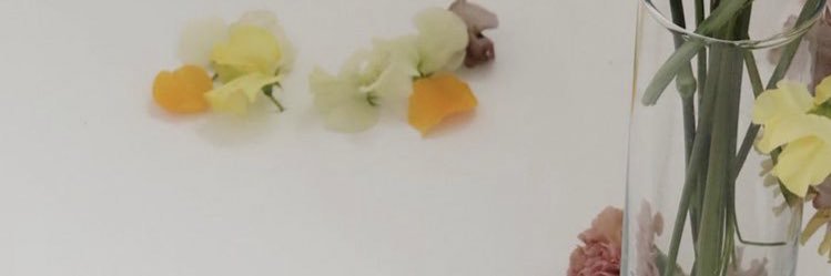 fla_teddy25's profile banner image