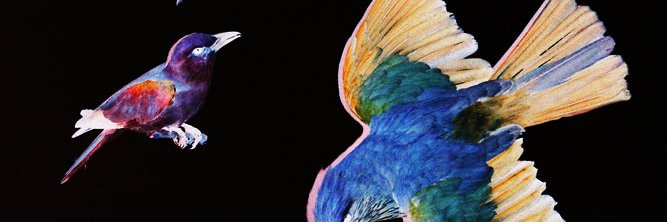 byebyesalad's profile banner image