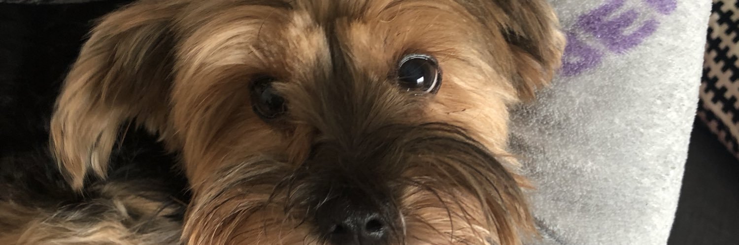 BnxA's profile banner image