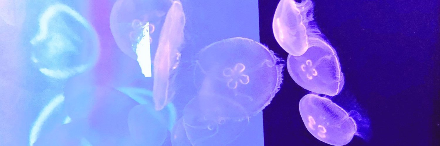 03_yk_06's profile banner image