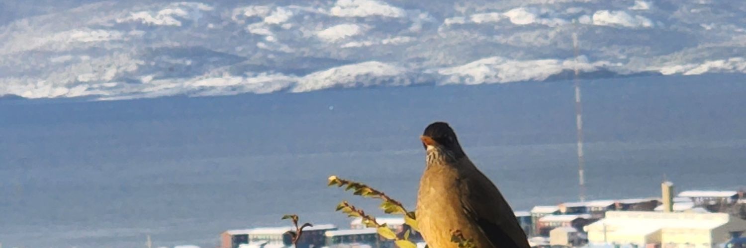 SottooKaren's profile banner image