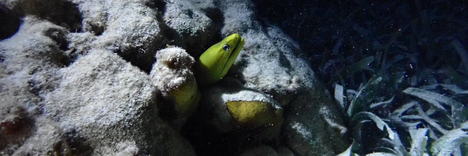 Eric Angel Ramos, PhD banner