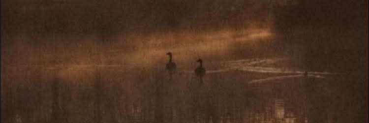 Srta. Huracán banner