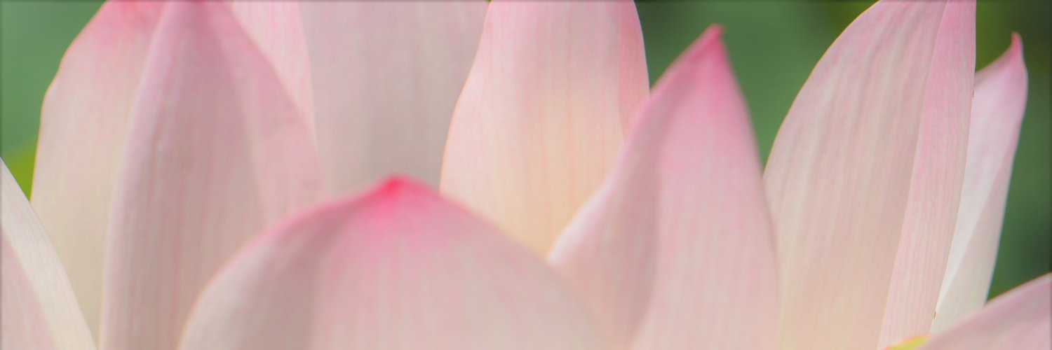 msdrbooth's profile banner image