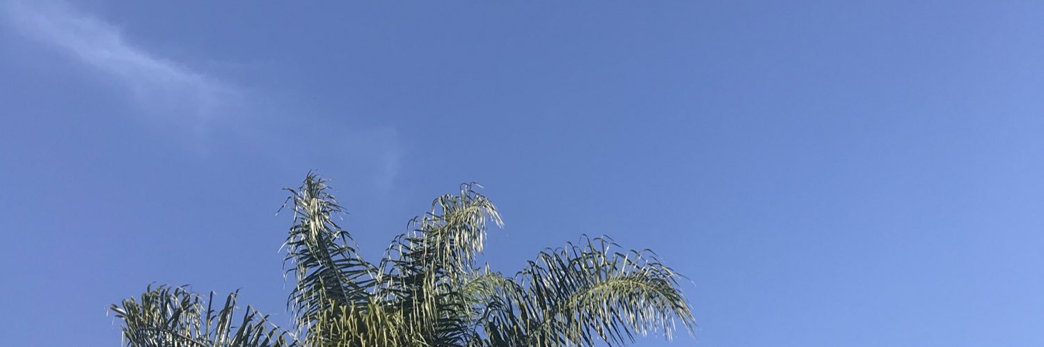 VickyPinieiro's profile banner image