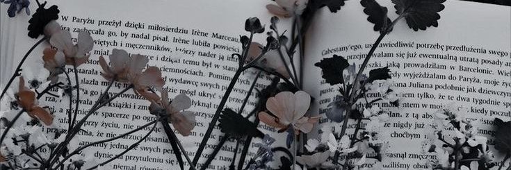 jocegalvz's profile banner image