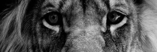 MilRic10's profile banner image