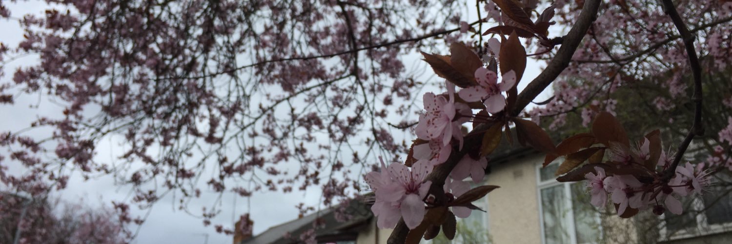 asian_supernova's profile banner image