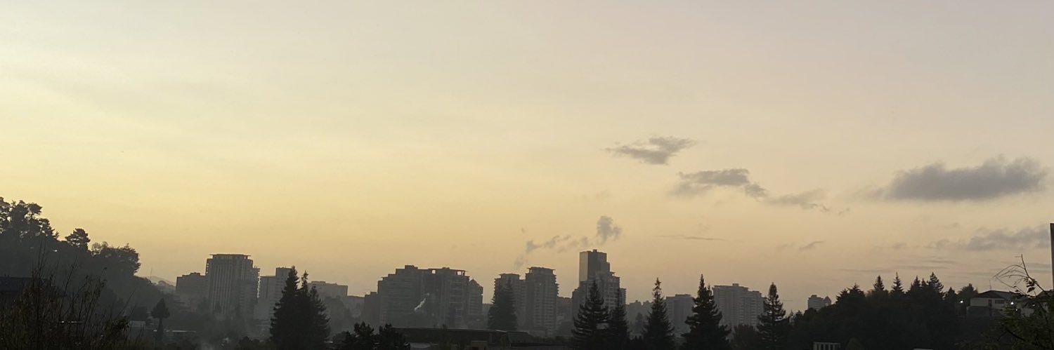 rodrogo banner