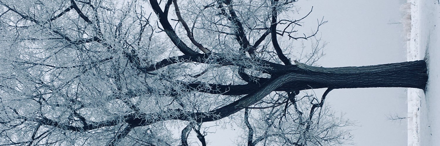 LikeTheSong's profile banner image