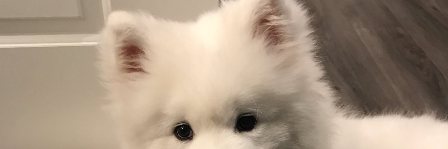Cach24's profile banner image