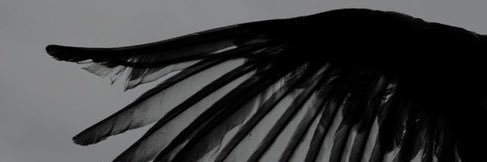 mhossam47's profile banner image