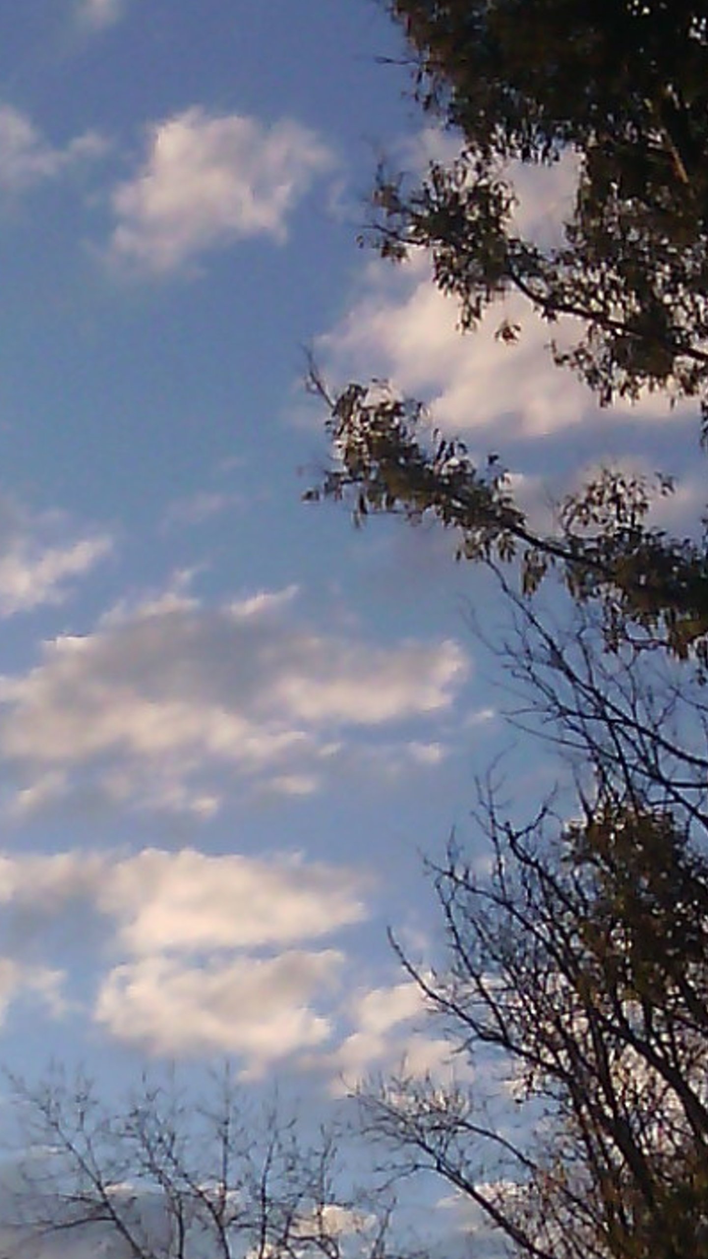 ialubrios's profile banner image