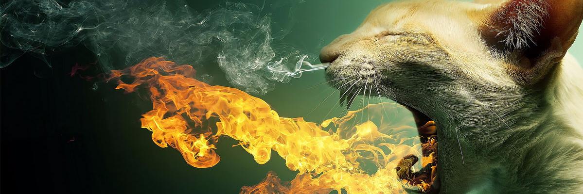 newb1e's profile banner image
