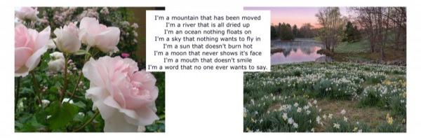 mirandagdr's profile banner image