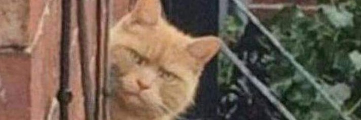 emblablablabla's profile banner image