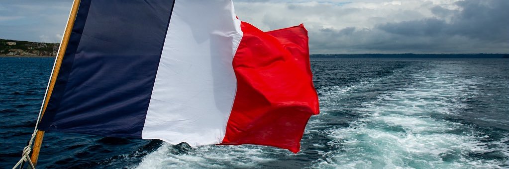 wileyted's profile banner image