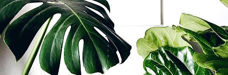 christinalwaltz's profile banner image