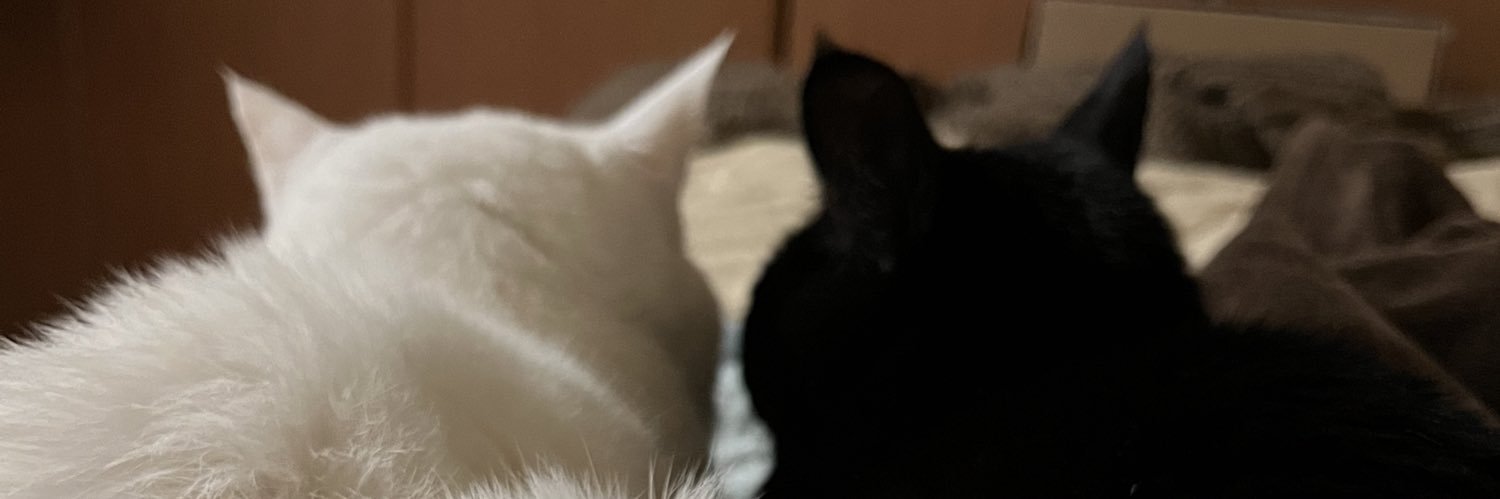 ekitai_only's profile banner image