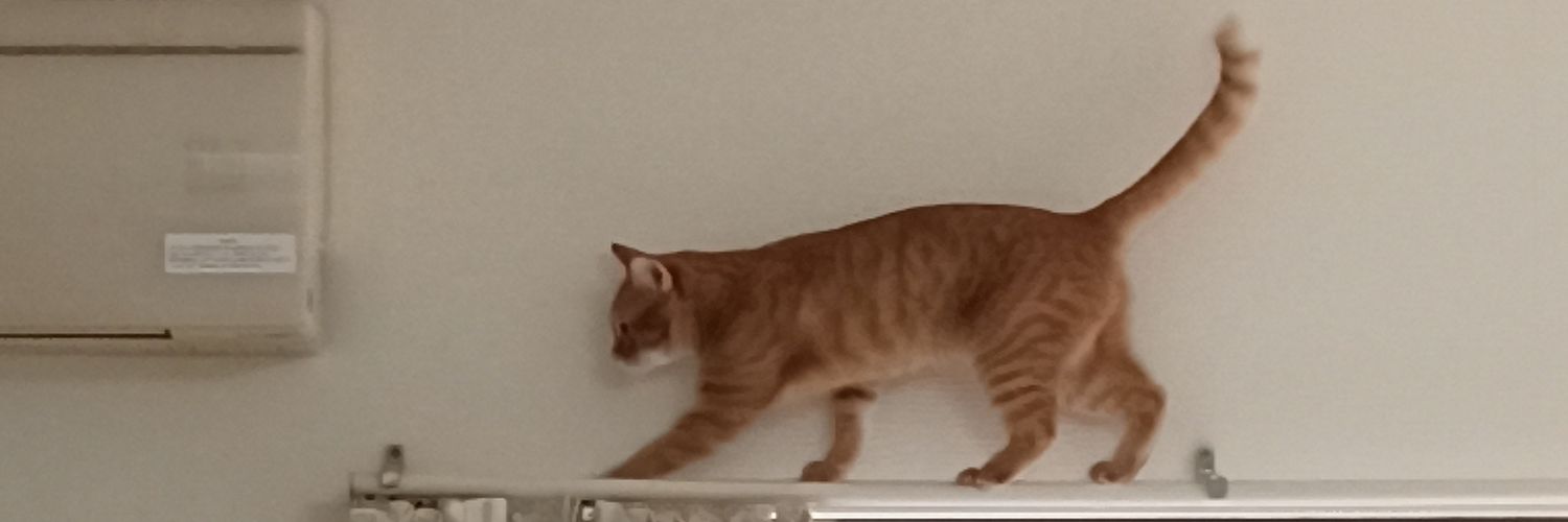 ymaysi's profile banner image