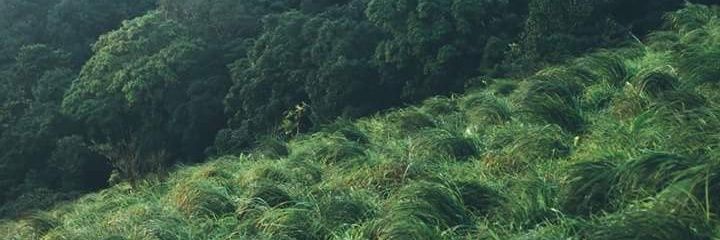 aloha_WTJ's profile banner image
