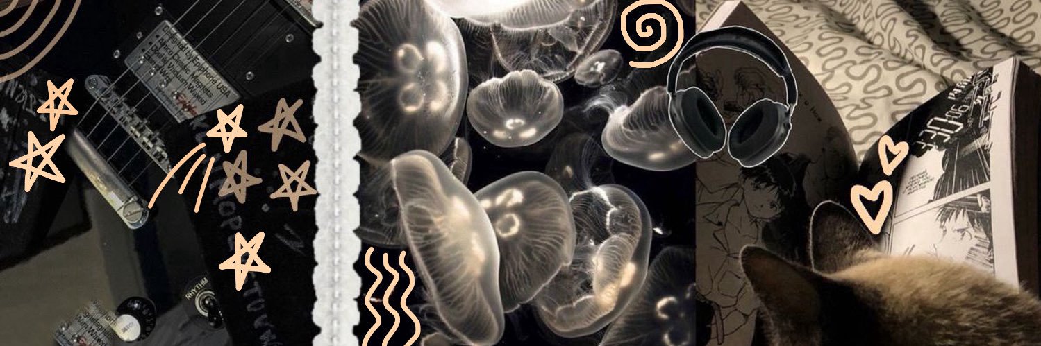 tosti𓍢 🪩 banner