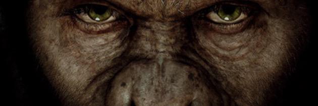 elaramarin's profile banner image