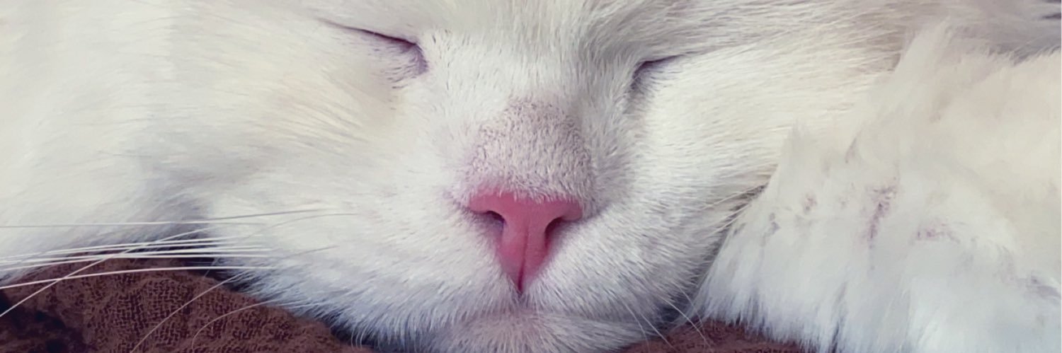 JazmeneCan's profile banner image