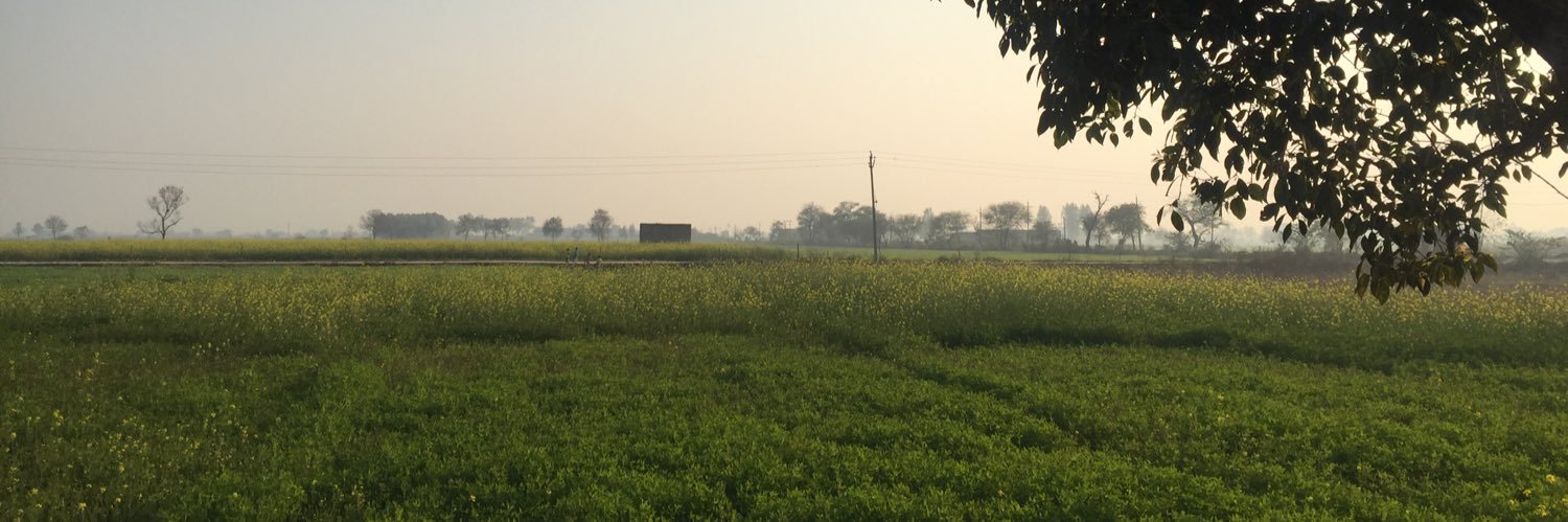 Pyyaali's profile banner image
