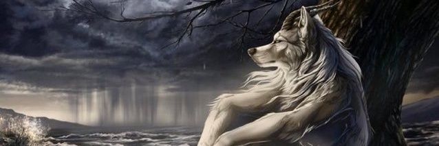 koetz81's profile banner image