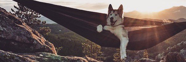 babe_hemp's profile banner image