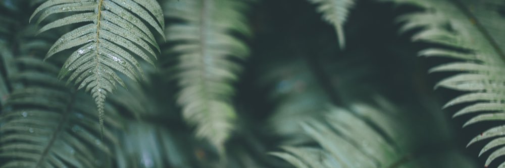 moshow34's profile banner image