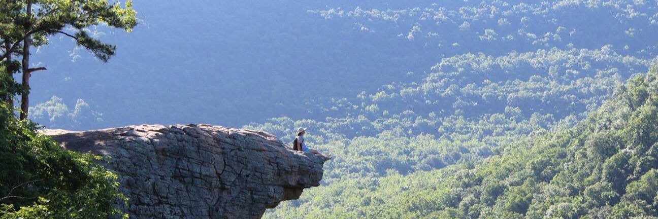 TaylorRodgers10's profile banner image