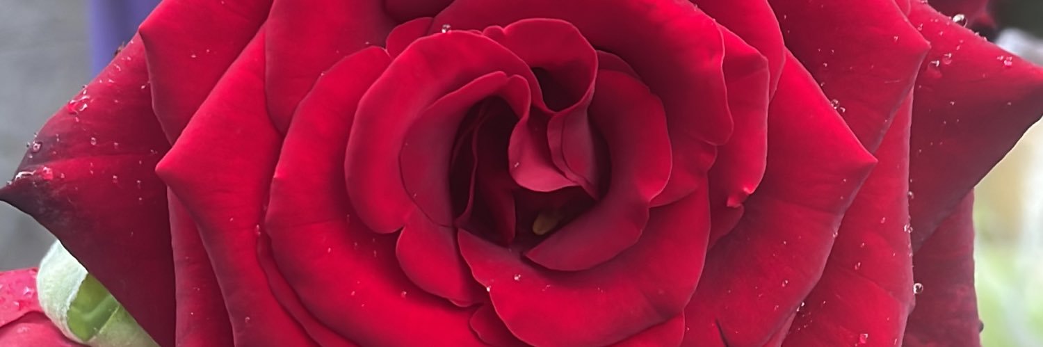 zayemsen's profile banner image