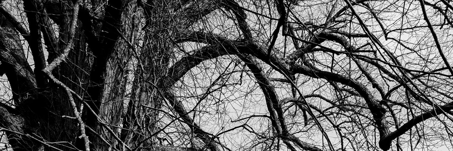 Richard (Pyrolytic Carbon) banner