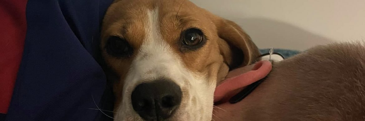 BareTheo's profile banner image