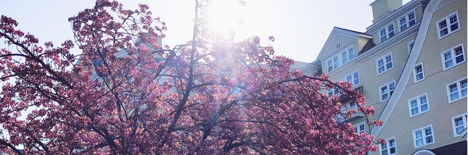 AmyJessicaB's profile banner image