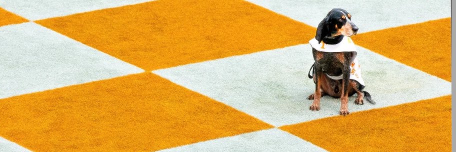 _LarsBars's profile banner image